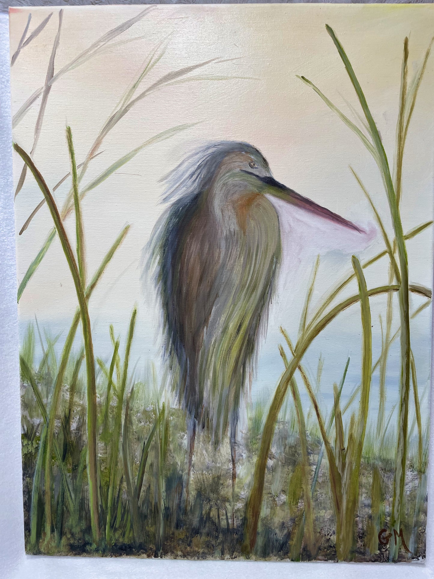 Heron in Tall Grass