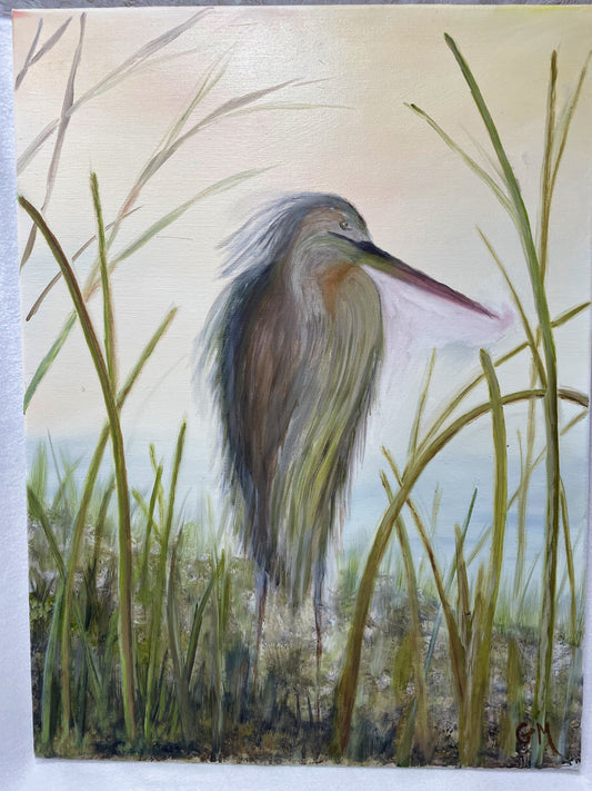Heron in Tall Grass