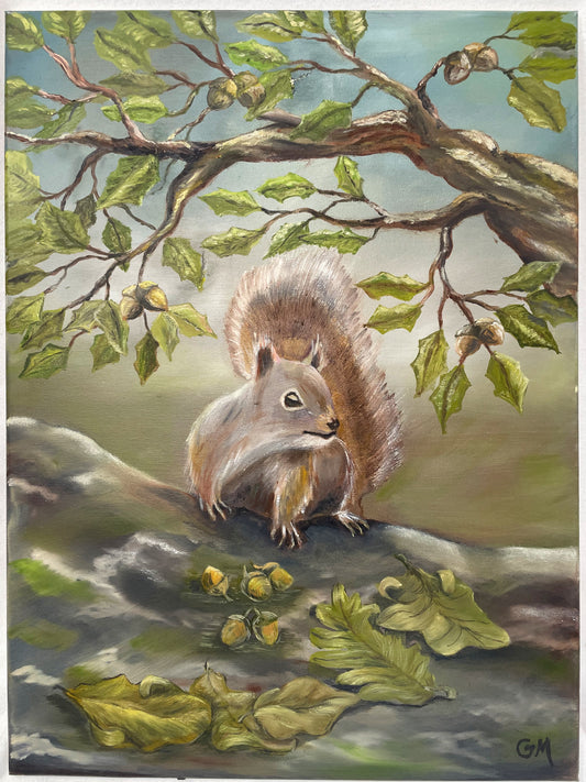 Grey Squirrel with Acorns